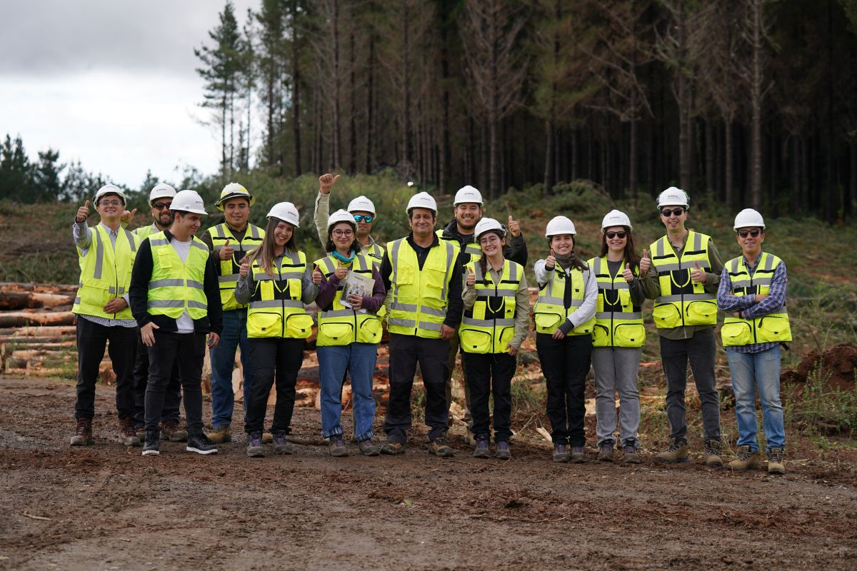 seguridad trabajadores forestal arauco