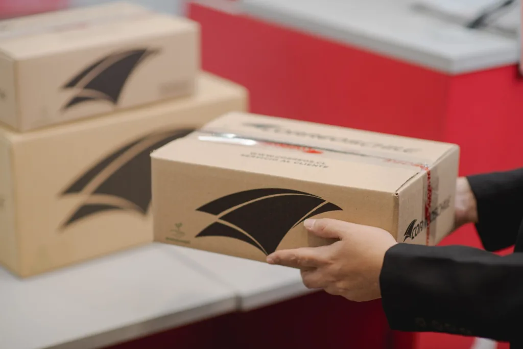 Paquetería Express: Cómo CorreosChile Ayuda a Damnificados