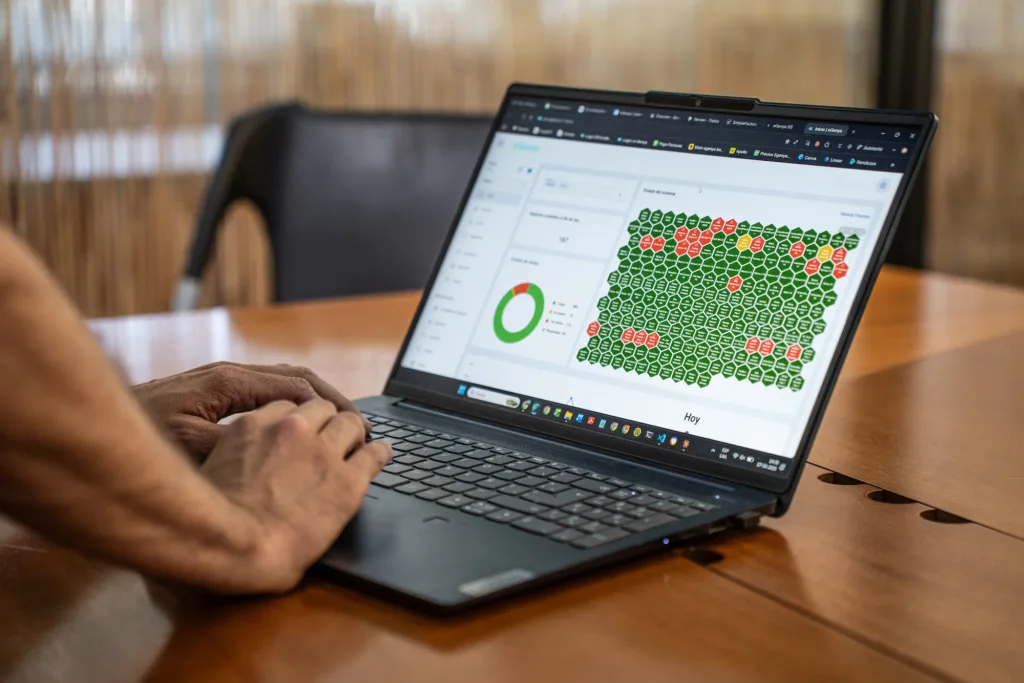 Internacionalización de eGenya: ¿Cómo logra su expansión en México?