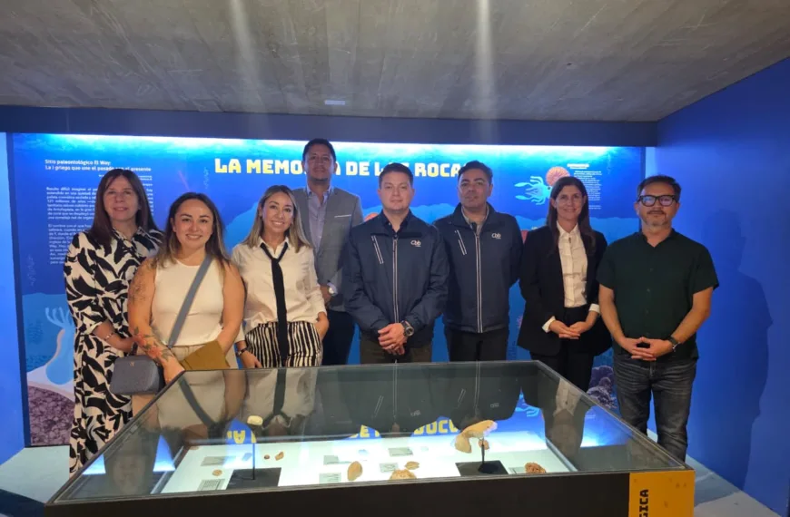 Exposición Memoria de las Rocas: Descubre el Pasado de Antofagasta