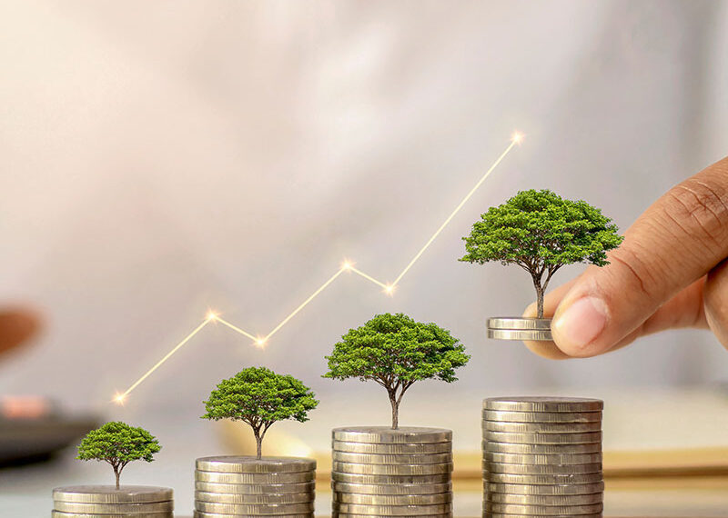 Bono Verde Internacional: El Interés Global que Revoluciona el Mercado