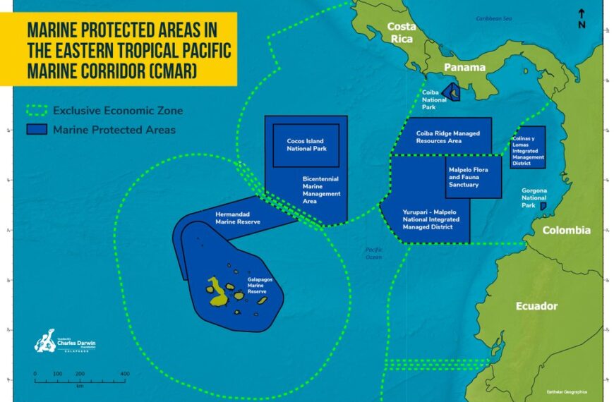 Sostenibilidad en la Industria del Seafood: Impacto y Diálogo Abierto