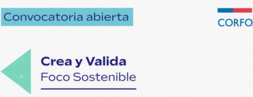Gestión de la Innovación: Oportunidades Imperdibles para Pymes