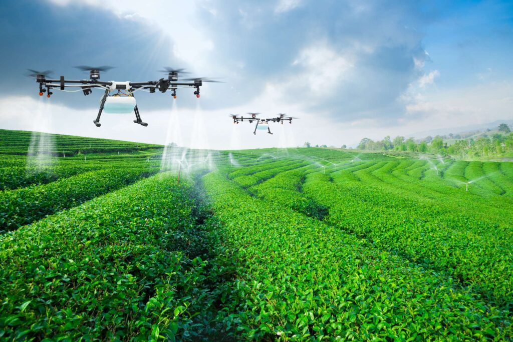 TACHI: La Startup Revolucionando la Agricultura en Chile