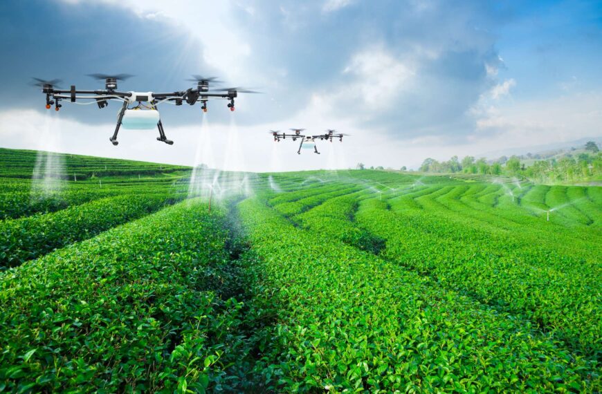 TACHI: La Startup Revolucionando la Agricultura en Chile