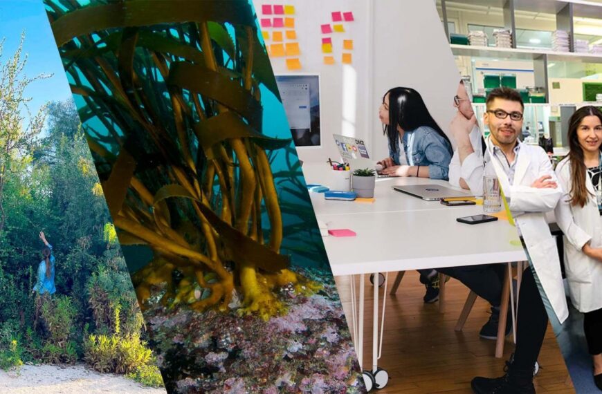 Premio PwC Chile Innovación: Conoce Cómo Participar y Destacar