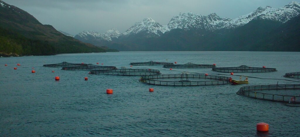 Aquasur Tech 2027 y la revolución en la acuicultura sostenible