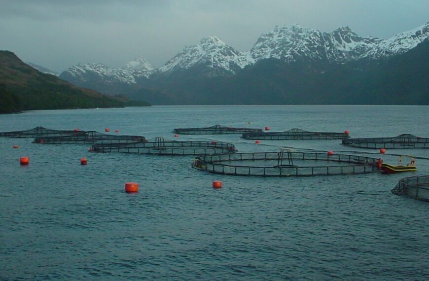 Aquasur Tech 2027 y la revolución en la acuicultura sostenible