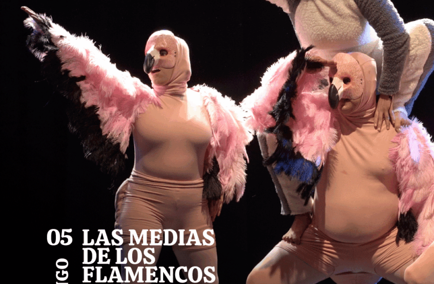 Hermosa Compañía y ‘Las medias de los flamencos’: Un show familiar imperdible