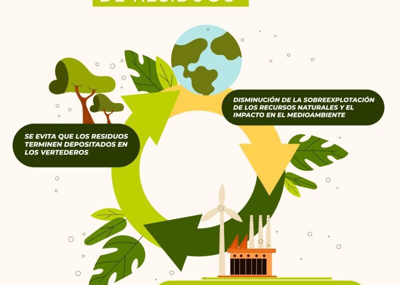 Economía Circular: Innovaciones en Valorización y Fertilizantes Sustentables