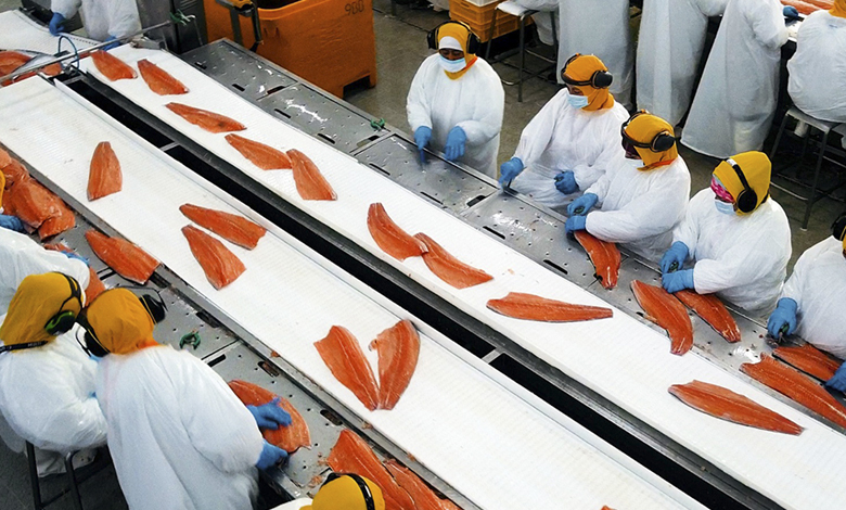 Exportaciones de Salmón Chileno: Crecimiento y Desafíos en 2026
