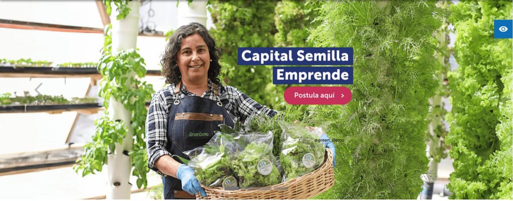 Capital Semilla Modo Empleo: ¿Qué ofrece para nuevos emprendedores?