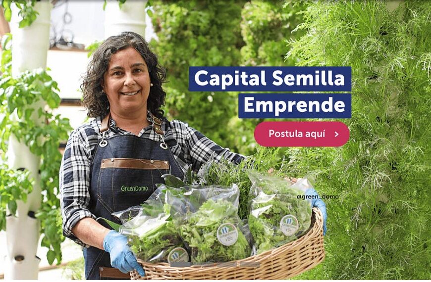 Capital Semilla Modo Empleo: ¿Qué ofrece para nuevos emprendedores?