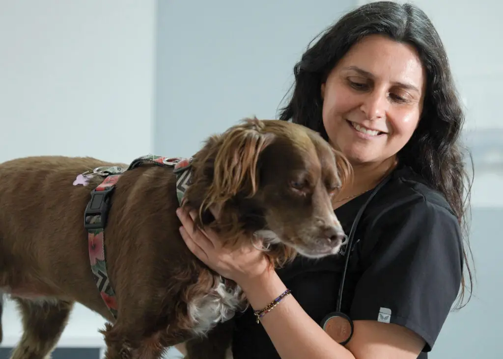 Consulta Veterinaria en Santiago: ¿Cuánto Cuesta Realmente?
