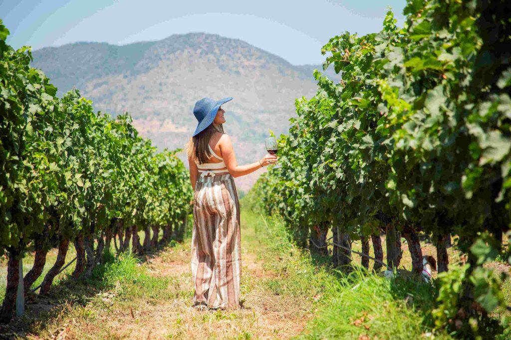 Día Nacional del Vino: Experiencias Únicas en el Valle de Colchagua